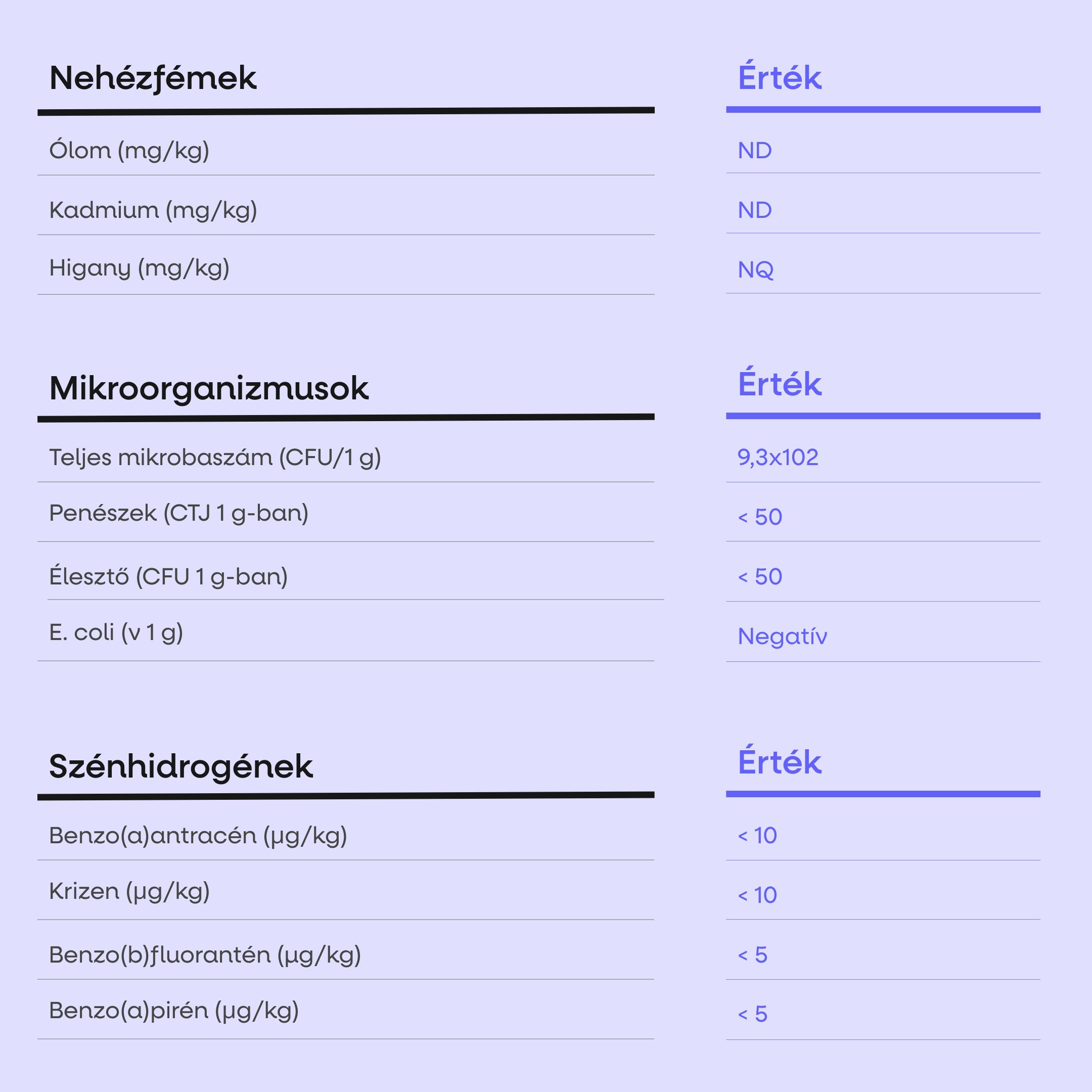 (Maďarština) - 2025-08-20T090918.882